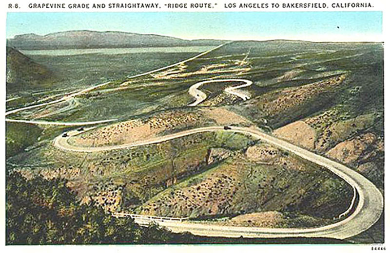 Vintage image of The Grapevine..Thanks for the memories you crazy, crazy road! Grape vines